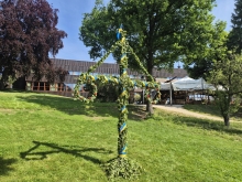 Midsommarstång