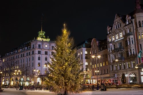 Nu lanserar vi vår nya hemsida nelsonjulgranar.se